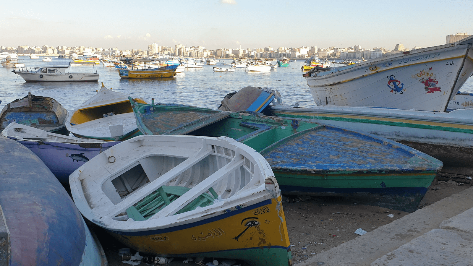Luxury Alexandria Day Tours Packages along the Mediterranean coast