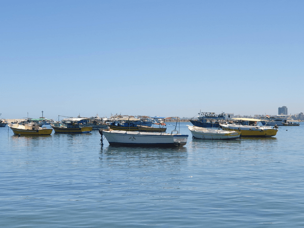 Cairo and Alexandria tours for 2 days from Hurghada by bus