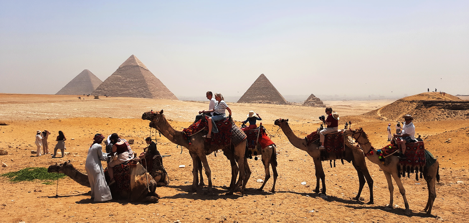 The camel riding by the Pyramids