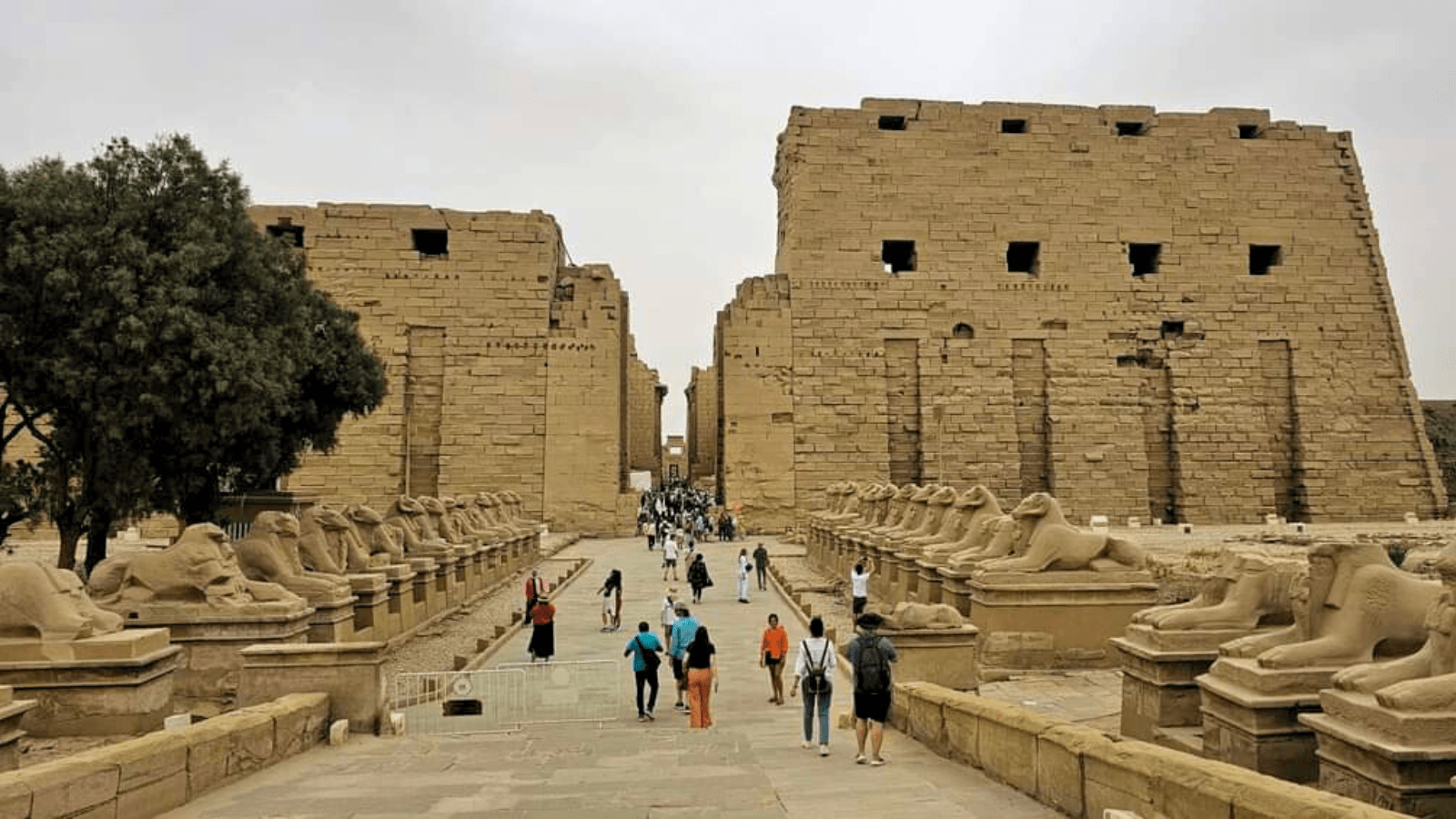 Experience Egypt Exclusively: Private Access and VIP Tours . banner