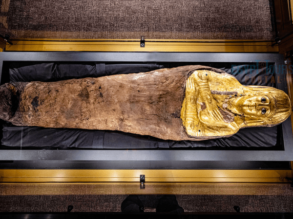 The Valley of the Golden Mummies: Egypt’s Lost City of Luxury and Legacy