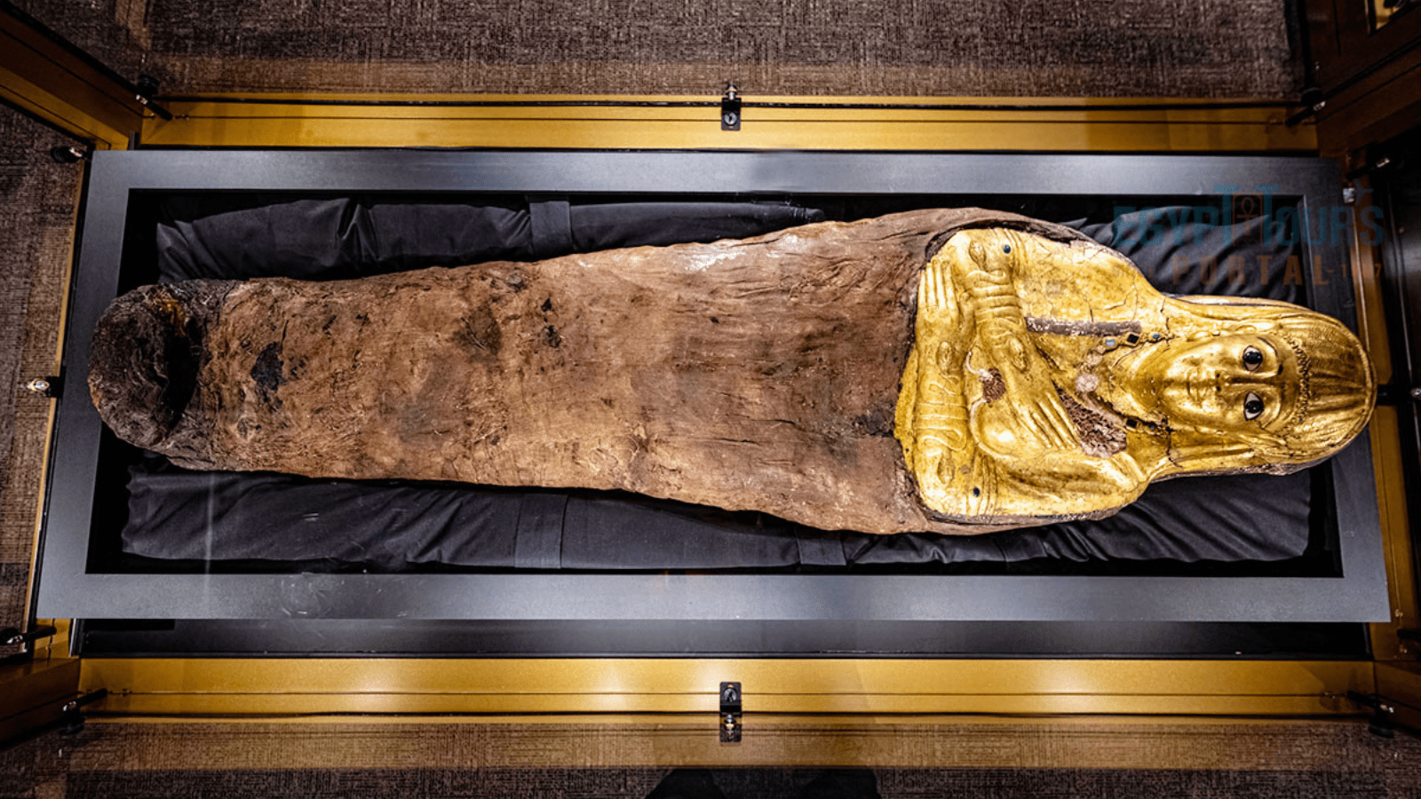 The Valley of the Golden Mummies: Egypt’s Lost City of Luxury and Legacy . banner