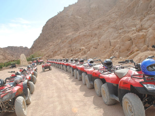 5 actividades en una excursión
