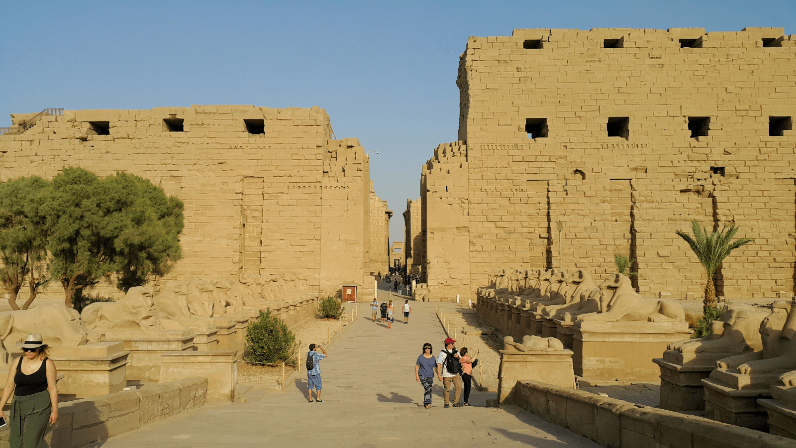 Walking in the Footsteps of Ramses II . banner
