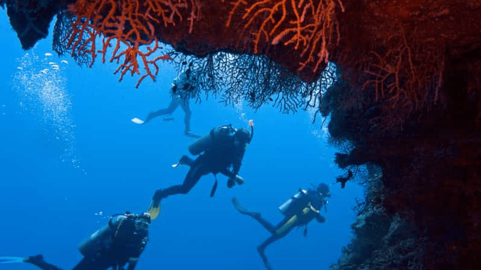 Snorkeling