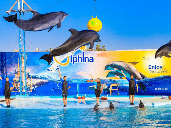 submarine trip from Marsa alam
