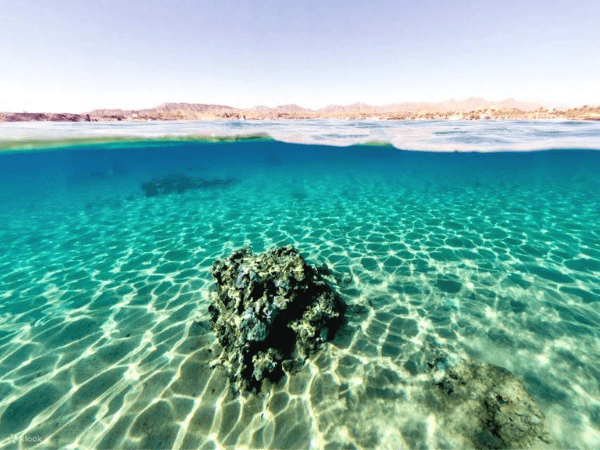 Ras Mohamed (Optional tour)