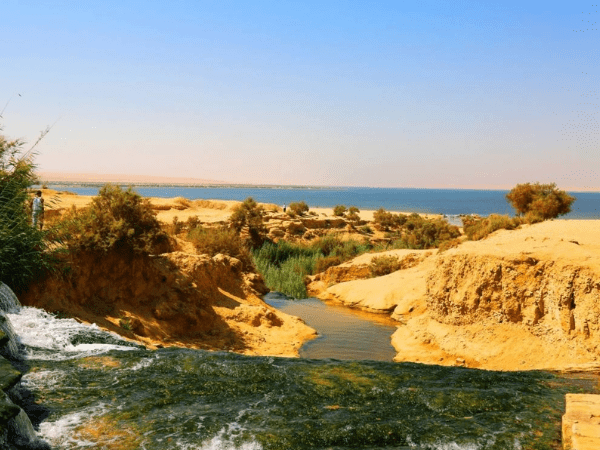 Oasis de El Fayum (Tour opcional)