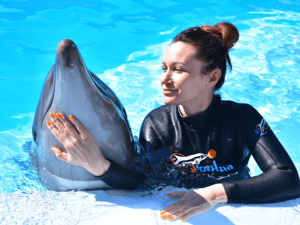 Swim with Dolphins for 15 minutes