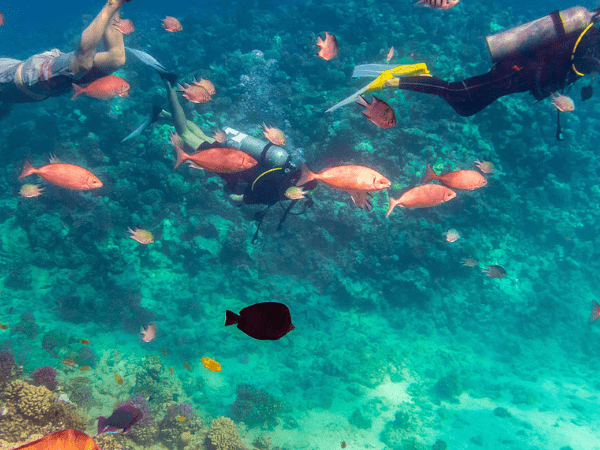Navegación en el mar Rojo de Hurghada durante una hora
