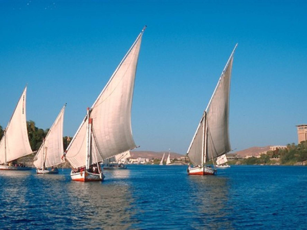 Felucca Sailing