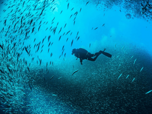 Hamata Snorkeling & Fishing